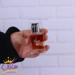 ادکلن جیبی اسمارت 317 دیور هوم اینتنس 25 میل کوچک