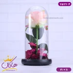 حباب شیشه ای چراغ دار گل صورتی همراه با کابل حالت خاموش