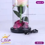 حباب شیشه ای چراغ دار گل صورتی همراه با کابل