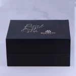 جعبه ساعت عقربه ای بیگوتی مردانه فلزی مشکی صفحه سبز BG.1.10561/6