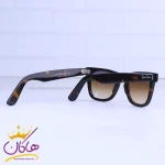 دسته عینک آفتابی ری بن پلنگی RB2140