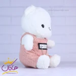 عروسک خرس لباس دار صورتی از نمای کنار