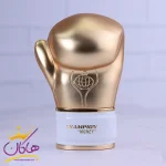 ادکلن فراگرنس مردانه چمپیون مانی 80 میل