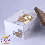 جعبه ادکلن فراگرنس مردانه چمپیون مانی 80 میل