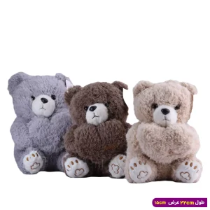 عروسک خرس ولنتاین قلبی پولیشی کوچک کد 6602/11
