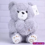 عروسک خرس ولنتاین قلبی پولیشی کوچک کد 6602/11 طوسی