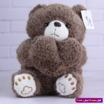 عروسک خرس ولنتاین قلبی پولیشی کد 6602/12 قهوه ای