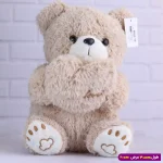 عروسک خرس ولنتاین قلبی پولیشی کد 6602/12 کرمی