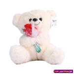 عروسک خرس ولنتاین دسته گل دار