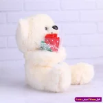 عروسک خرس ولنتاین دسته گل دار